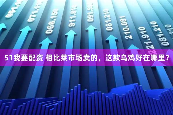 51我要配资 相比菜市场卖的，这款乌鸡好在哪里？